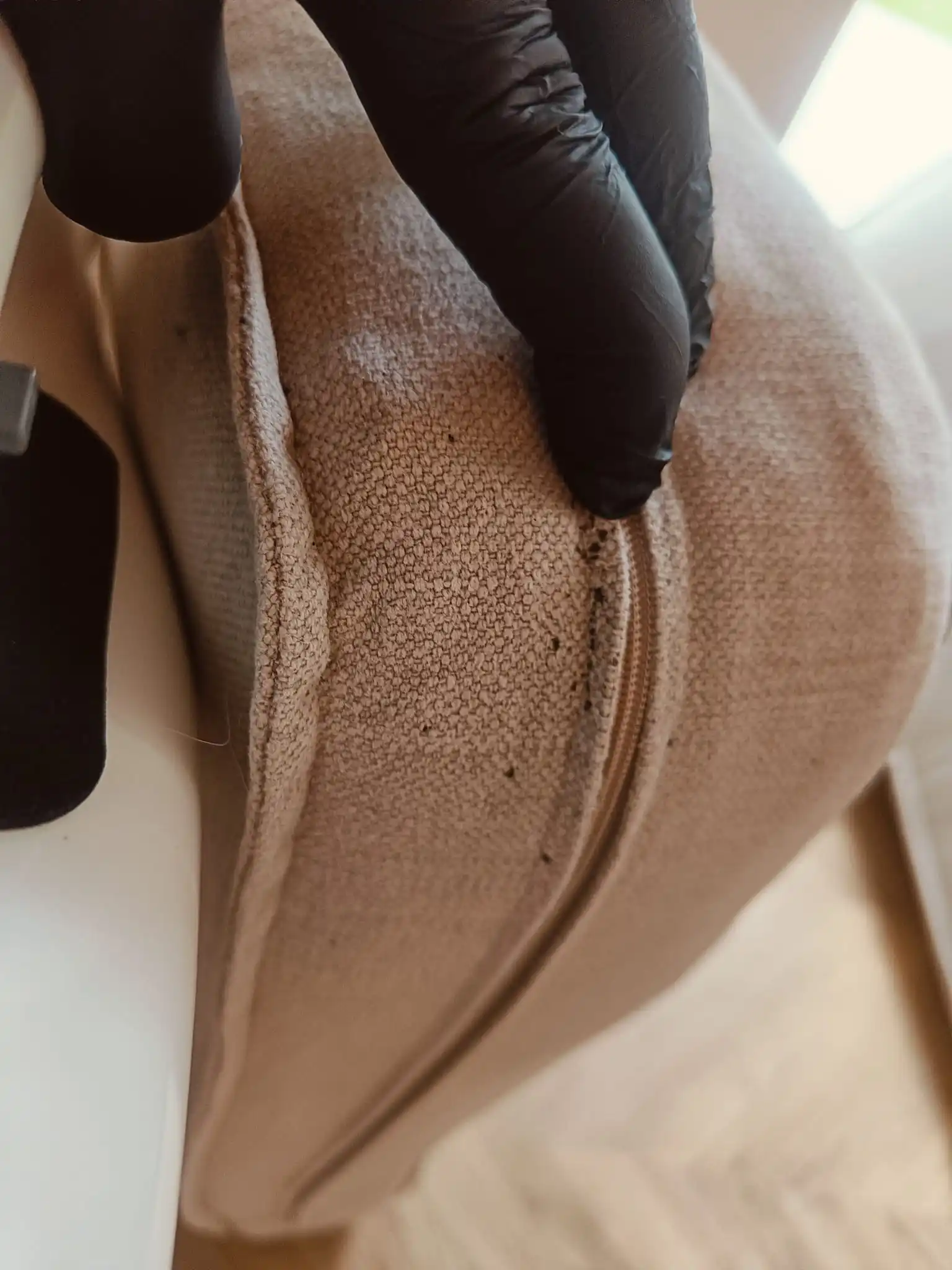 Væggelus spor – typiske mørke pletter og tegn på aktivitet