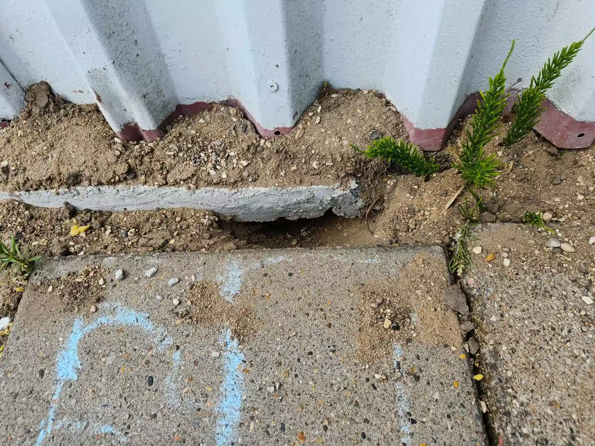 Skadedyrsbekæmpelse Kontakt os for en skræddersyede løsning