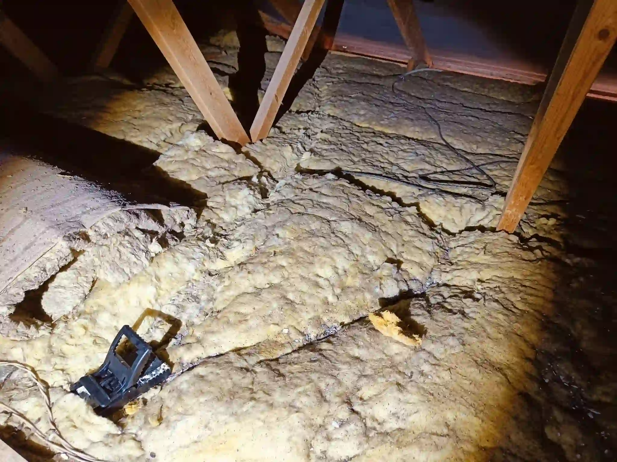 Skadedyrsbekæmpelse Kontakt os for en skræddersyede løsning