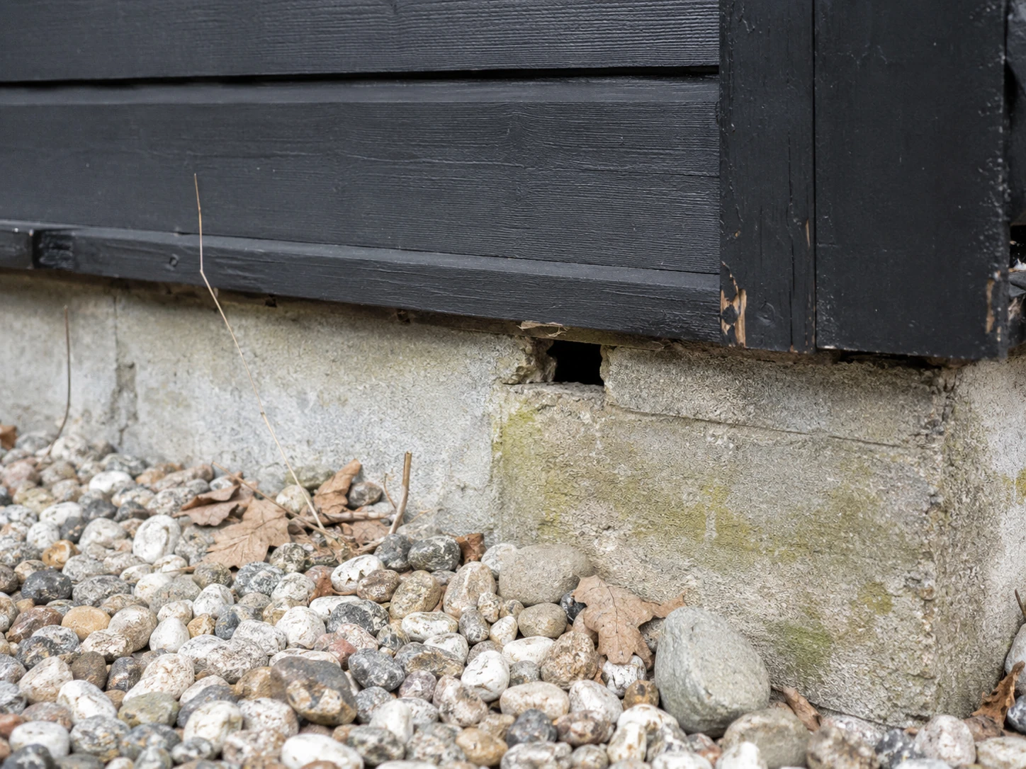 Mulig indgang for mus ved soklen på et sommerhus