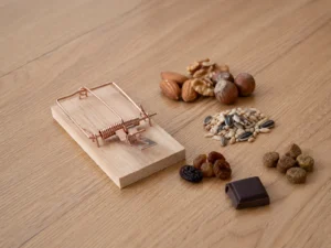 Musefælde med nødder, frø, tørret frugt, chokolade og dyrefoder som mulige lokkemidler