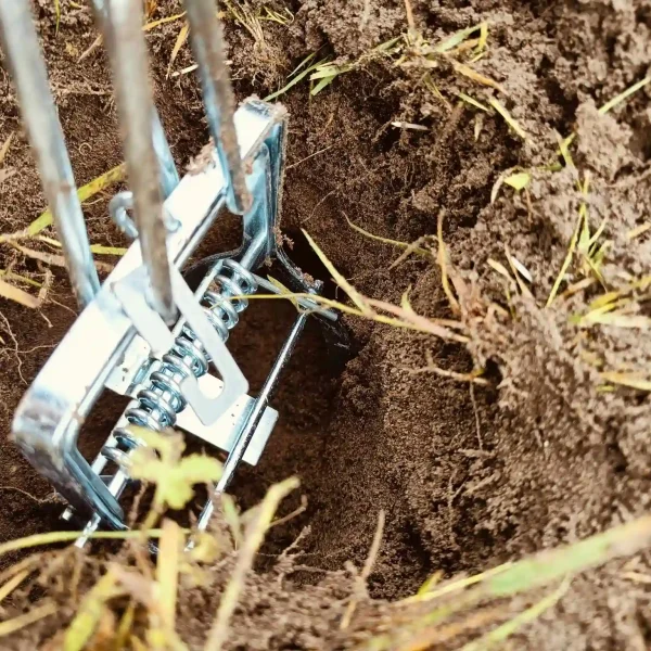 Skadedyrsbekæmpelse Kontakt os for en skræddersyede løsning