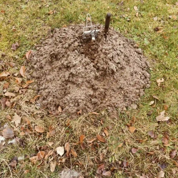 Skadedyrsbekæmpelse Kontakt os for en skræddersyede løsning