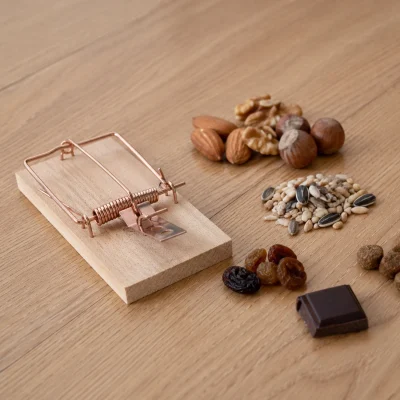 Musefælde med nødder, frø, tørret frugt, chokolade og dyrefoder som mulige lokkemidler
